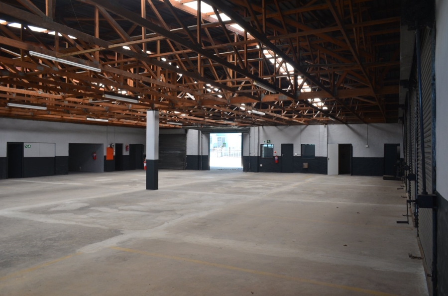 To Let commercial Property for Rent in George Industrial Western Cape